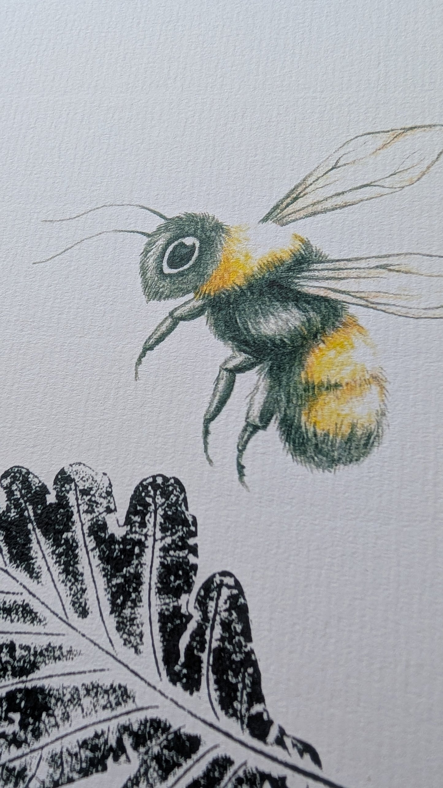 Lámina de abeja ilustrada y hoja de roble estampada con tinta negra.