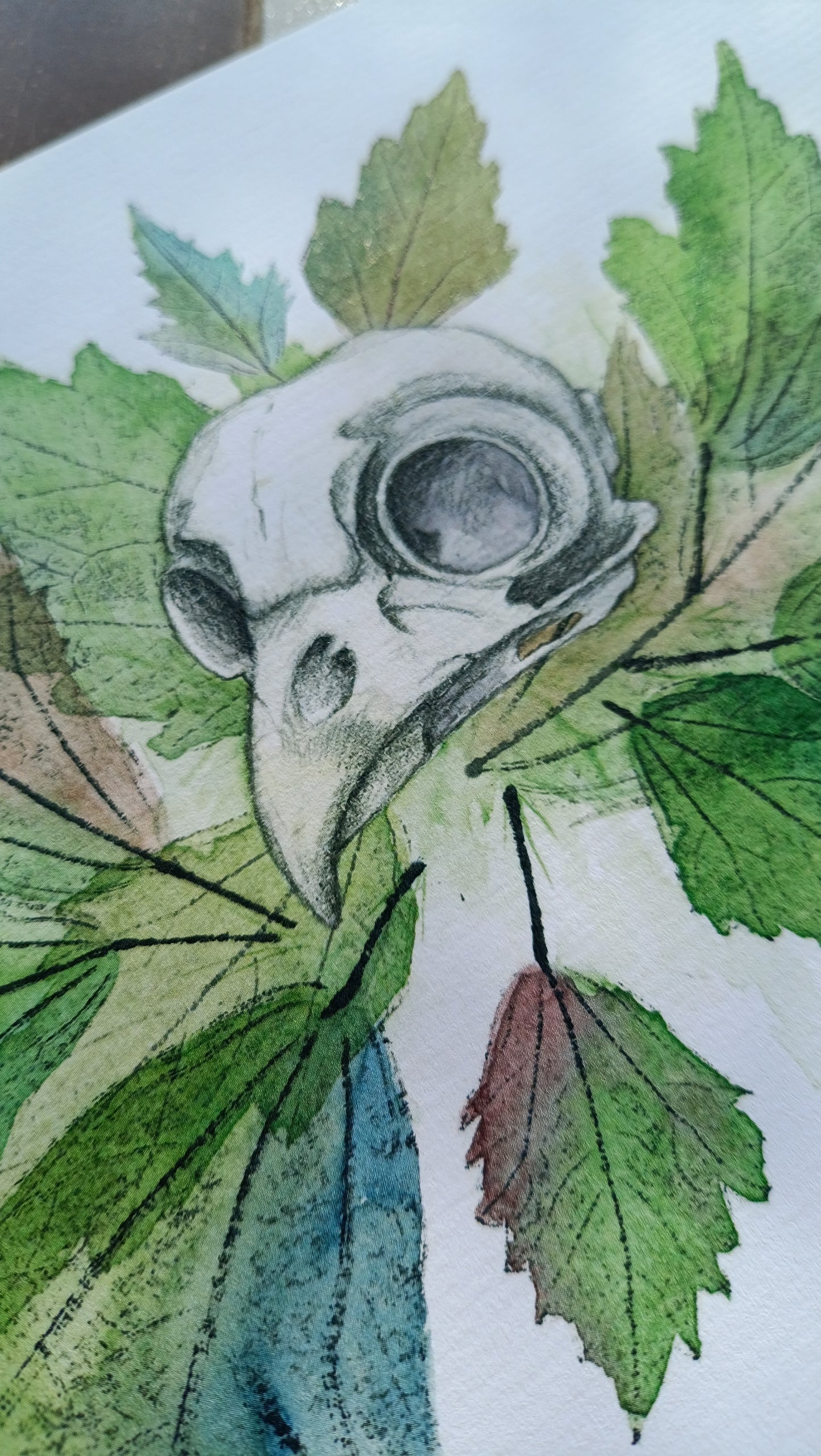 Ilustración de calavera de lechuza, hecha con lápices de colores y grafito. Hojas de gris de huburn estampadas con tinta negra y pintadas con acuarela.