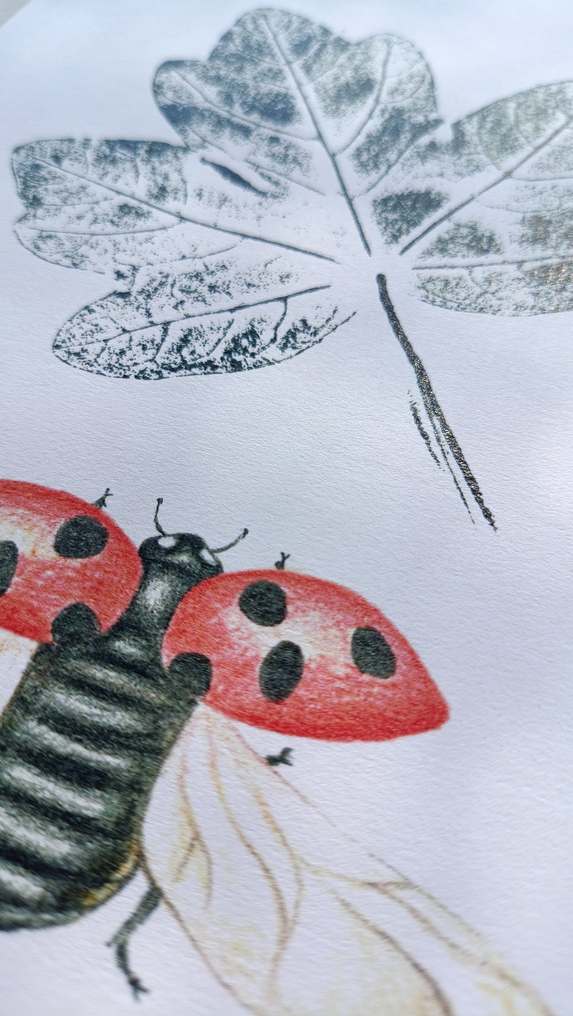 Detalle de lámina ilustrada de una mariquita y una hoja de arce estampada con tinta.