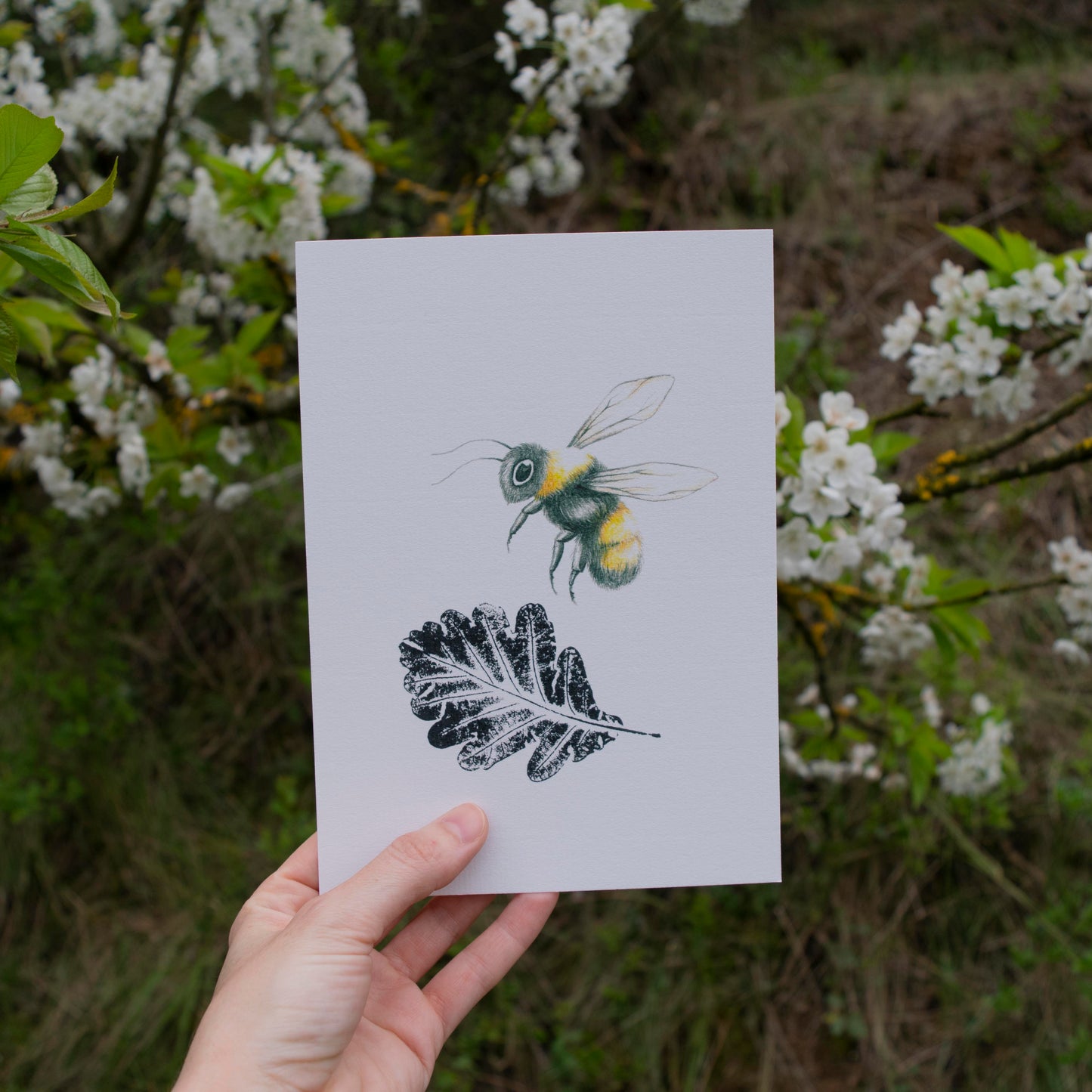 Lámina de abeja ilustrada y hoja de roble estampada con tinta negra.