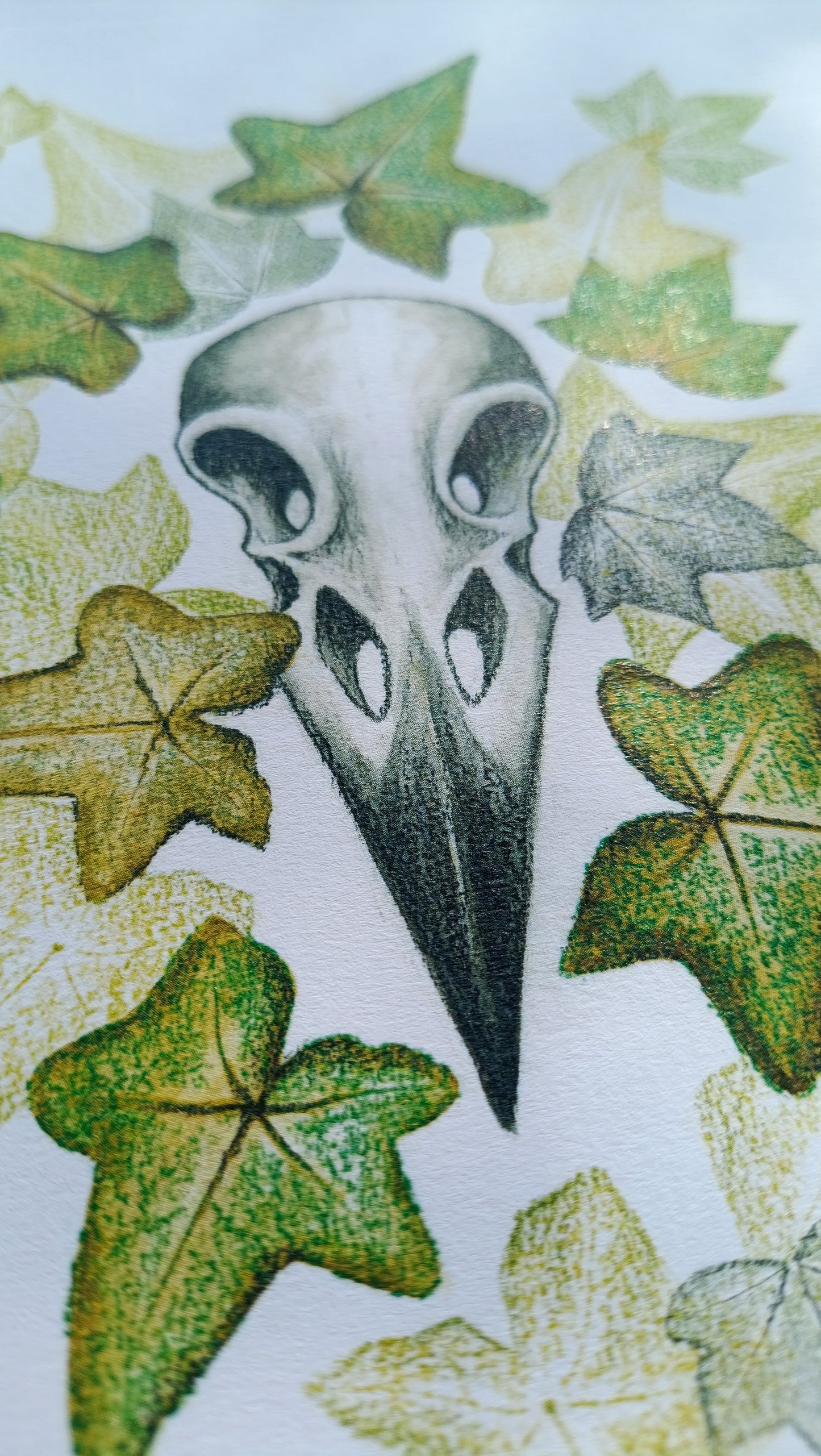 Ilustración de calavera de cuervo, pintada con grafito, hojas de hiedra estampadas con tinta negra y coloreadas con pigmentos naturales.