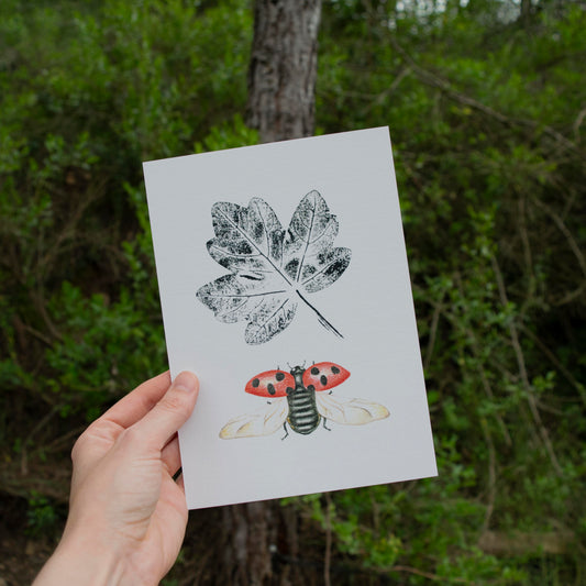 Lámina ilustrada de una mariquita y una hoja de arce estampada con tinta.