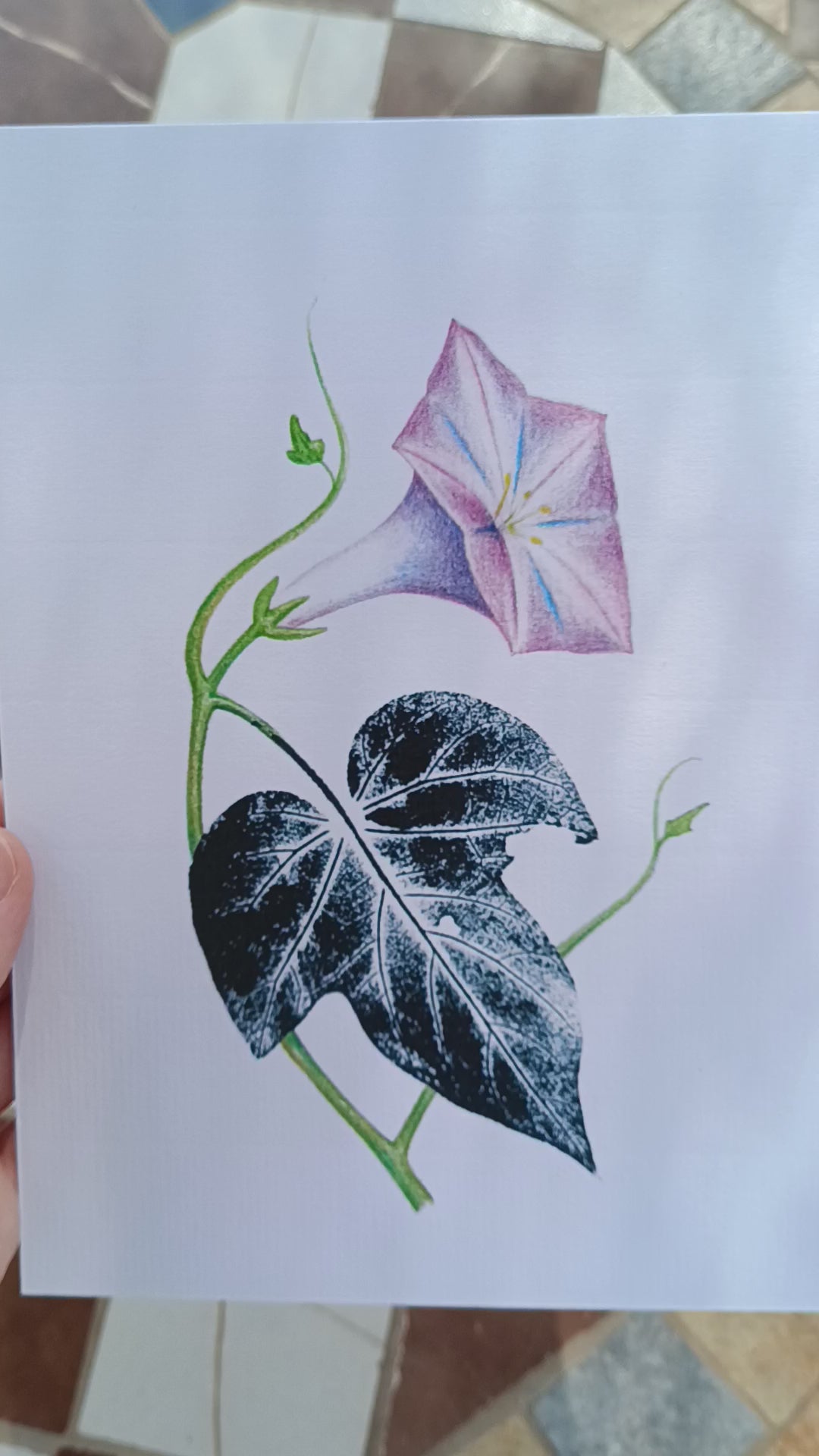 Ilustración de una campanilla púrpura, lápices de colores y estampación de hoja con tinta negra.