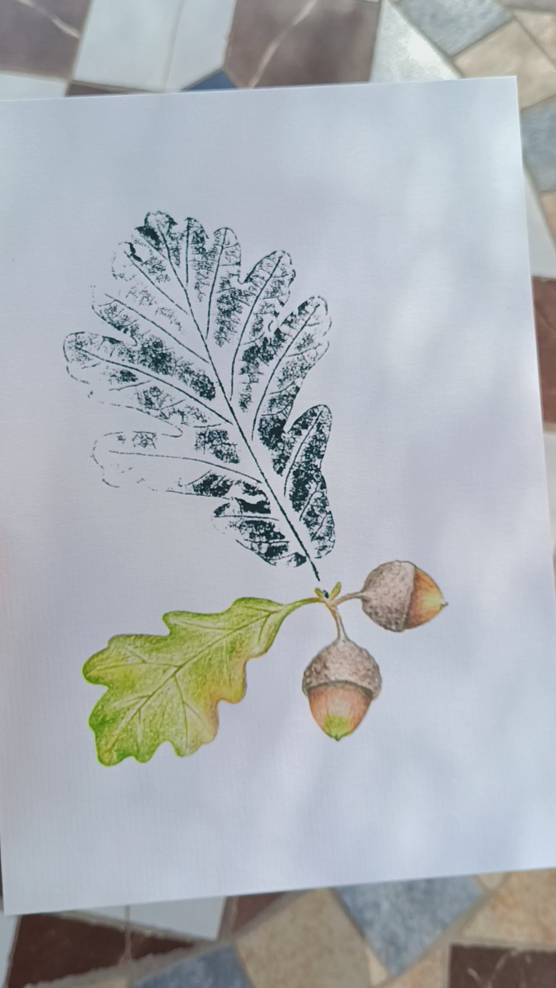 Ilustración de rama de roble, hoja estampada con tinta negra y bellota ilustrada con lápices de colores.