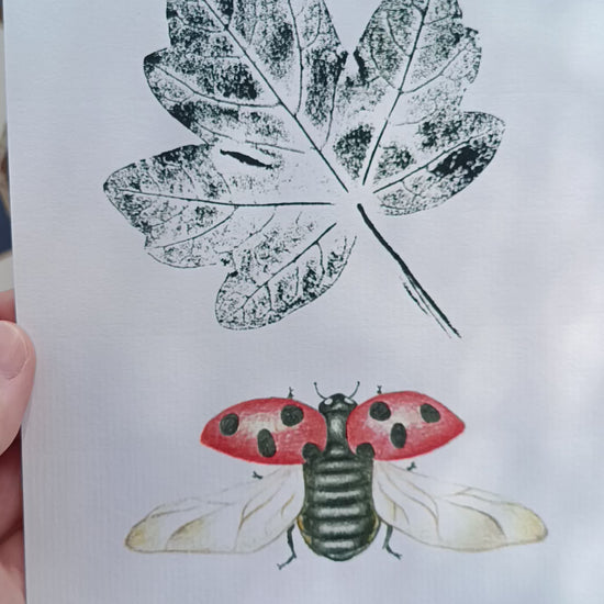 Lámina ilustrada de una mariquita y una hoja de arce estampada con tinta.