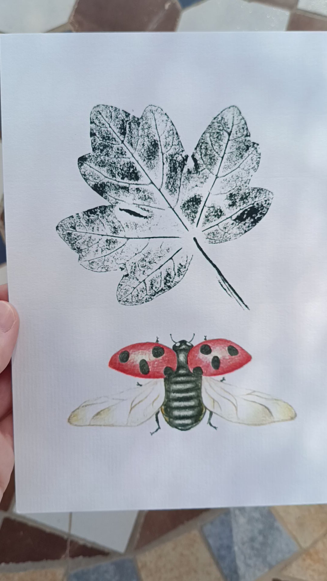 Lámina ilustrada de una mariquita y una hoja de arce estampada con tinta.